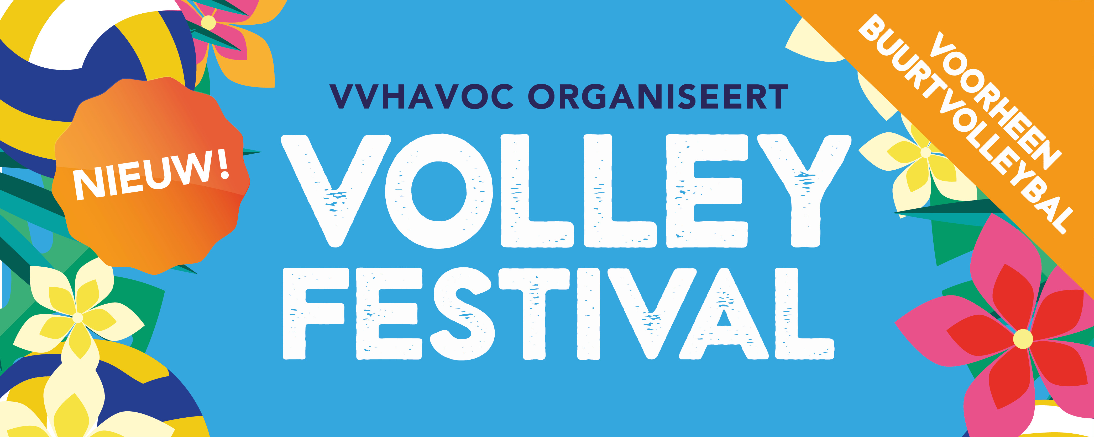 volleyfestival website