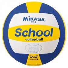 school volleybal